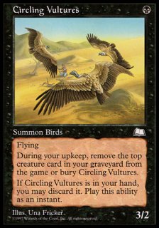 待ち受ける禿鷹/Circling Vultures