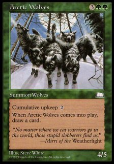北極狼/Arctic Wolves