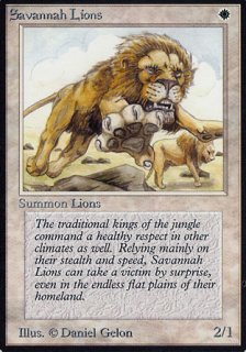 サバンナ・ライオン/Savannah Lions