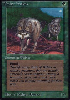 ϵ/Timber Wolves
