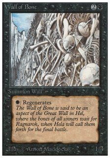 骨の壁/Wall of Bone