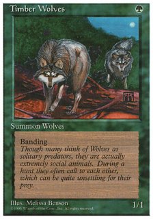 ϵ/Timber Wolves