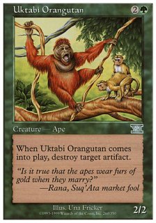 ӡ󥦡/Uktabi Orangutan