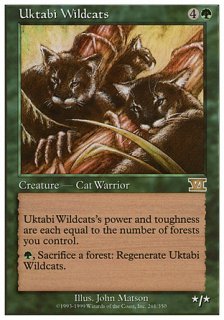 ӡ磻ɥå/Uktabi Wildcats