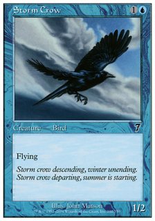 嵐雲のカラス/Storm Crow