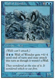驚きの壁/Wall of Wonder