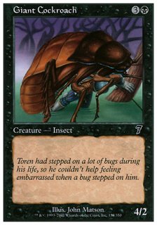 祴֥/Giant Cockroach