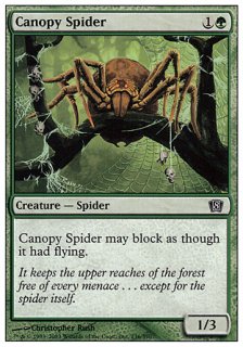 /Canopy Spider