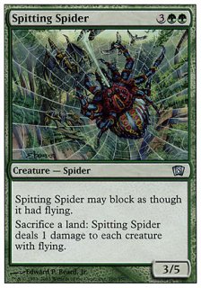 Ǥ/Spitting Spider