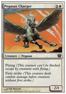 ͷڥ/Pegasus Charger