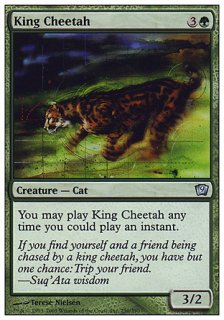 󥰡/King Cheetah
