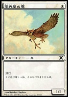 陽光尾の鷹/Suntail Hawk