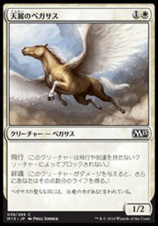 天麗のペガサス/Sungrace Pegasus