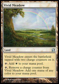 /Vivid Meadow
