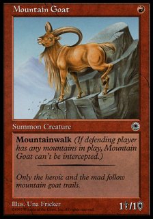 シロイワヤギ/Mountain Goat