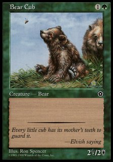 Ʒ/Bear Cub