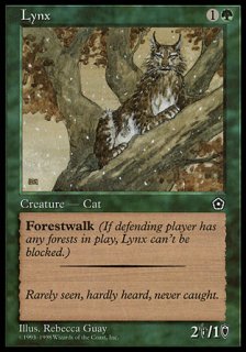 ޥͥ/Lynx