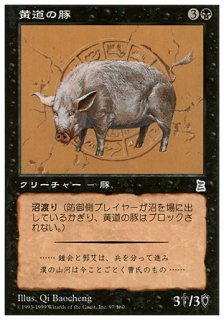 黄道の豚/Zodiac Pig