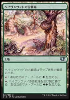 �إ����󥦥åɤθ����/Havenwood Battleground