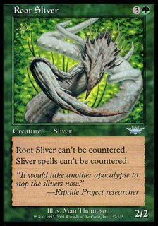 /Root Sliver