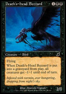 死神頭のノスリ/Death's-Head Buzzard