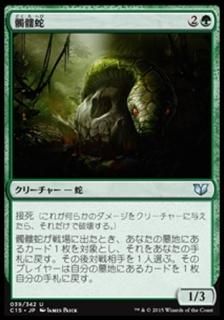 �����/Skullwinder