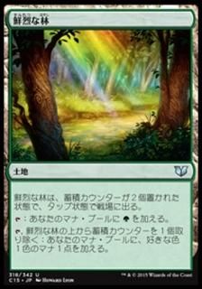 ��������/Vivid Grove