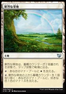 ����������/Vivid Meadow