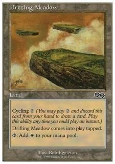 ɺ/Drifting Meadow