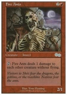 ˵/Fire Ants