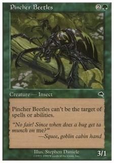 Ϥߥ֥/Pincher Beetles