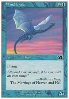 Υɥ쥤/Wind Drake