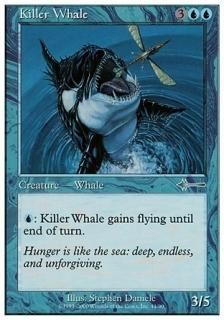 ͷ/Killer Whale