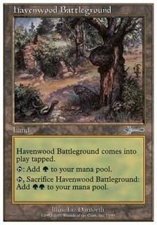 إ󥦥åɤθ/Havenwood Battleground