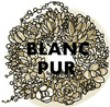 多肉植物・フラワー・雑貨・アンティークの通販　BLANC PUR（ブランピュア）