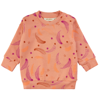 <b>soft gallery</b><br>22aw Buzz Universe
 Sweatshirt<br>DUSTY CORAL<img class='new_mark_img2' src='https://img.shop-pro.jp/img/new/icons1.gif' style='border:none;display:inline;margin:0px;padding:0px;width:auto;' />