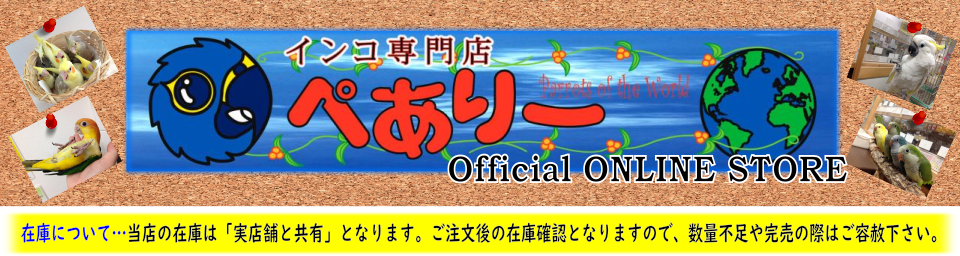 セメントパーチ - インコ専門店ぺありー 公式オンラインストア