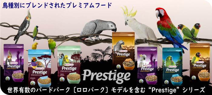 129円 逆輸入 アラタ 自然素材 カナリアシード ７００ｇ 鳥 小動物 エサ