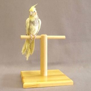 【中型鳥さん用】どっしり♬頑丈なバードスタンド 楽天市場】鳥かご スタンド（かご｜鳥用品）：ペット・ペット