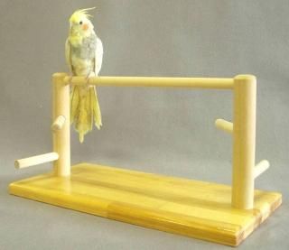 【大型鳥さん用】重量感たっぷり ♪ 頑丈などすこいオウムスタンド ♫ Amazon.co.jp: Aeon hum オウムスタンド バードラック 鳥プレイ