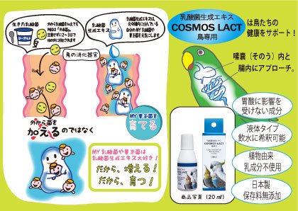 ◆横浜小鳥の病院監修◆ 乳酸菌生成エキス コスモスラクト 20ml 液体タイプ 鳥専用 COSMOS LACT - インコ専門店ぺありー  公式オンラインストア