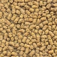 ベタファーム　ネクターペレット　ローリー　10キロ 獣医師プロデュース！VETAFARM ネクターペレット 350g ローリー
