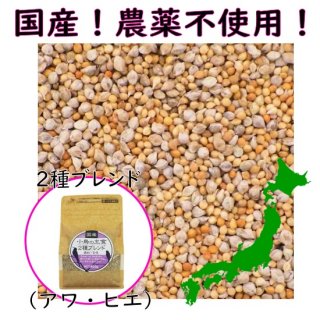 特集】国産・無農薬 シード - インコ専門店ぺありー 公式オンラインストア