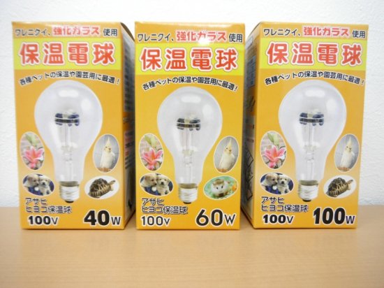 旭光電機 アサヒ 保温電球 60W（交換球）1個 - インコ専門店ぺありー