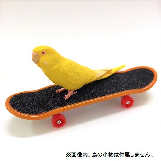 バードトイ スケートボード 1個 おもちゃ スケボー（色・柄指定不可