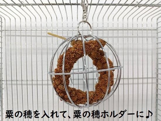 a17 粟の穂ホルダ バードトイ インコ 止まり木 粟の穂ホルダーに
