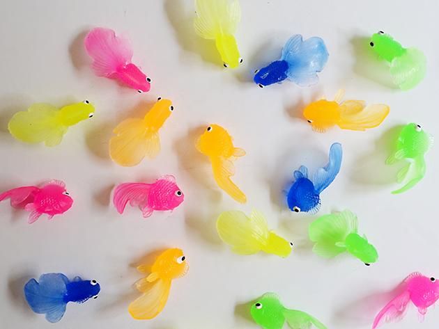 すくい用 ミニ金魚 個カラーアソート すくい用 海外のおしゃれなパーティーグッズ ホームパーティー 誕生日 インテリア Chelsea Chips チェルシーチップス すくい用 ミニ金魚 個カラーアソート すくい用 海外のおしゃれなパーティーグッズ ホームパーティー 誕生日 インテリア Chelsea Chips チェルシーチップス