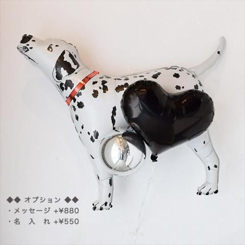 <img class='new_mark_img1' src='https://img.shop-pro.jp/img/new/icons14.gif' style='border:none;display:inline;margin:0px;padding:0px;width:auto;' />⤫ƤϤꢡL᥷֥åϡȥХ롼ѥեˤץ󡧥å̾좡770ߡإꥦ६ꢡХ롼󥮥ե
