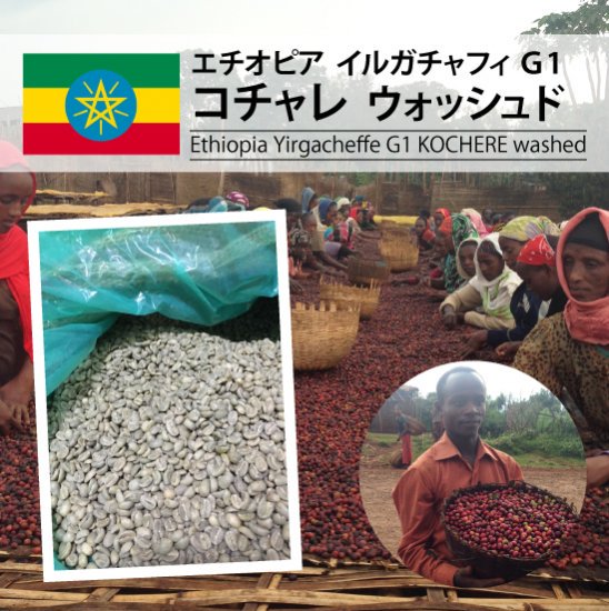 エチオピア イルガチャフィ G1 コチャレ WASHED（Ethiopia Yirgacheffe G1 KOCHERE washed）