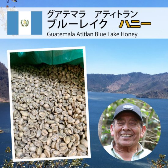 【売切終了】グアテマラ アティトラン ブルーレイク ハニー（ Guatemala Atitlan Blue Lake Honey )
